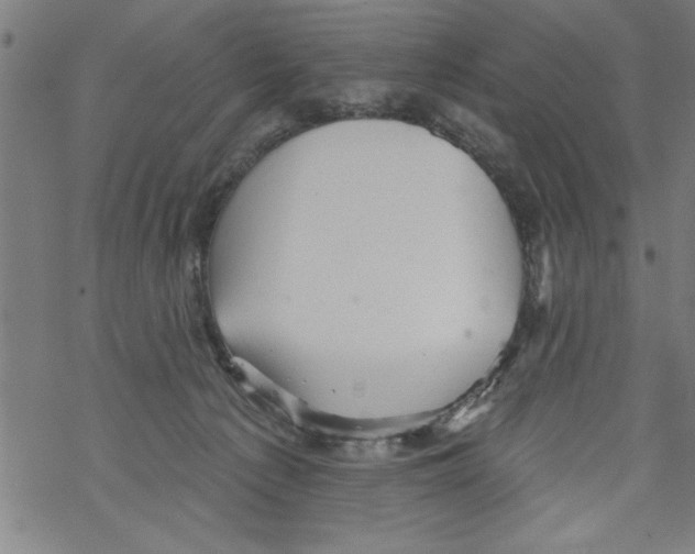 X0000067510225200605051837