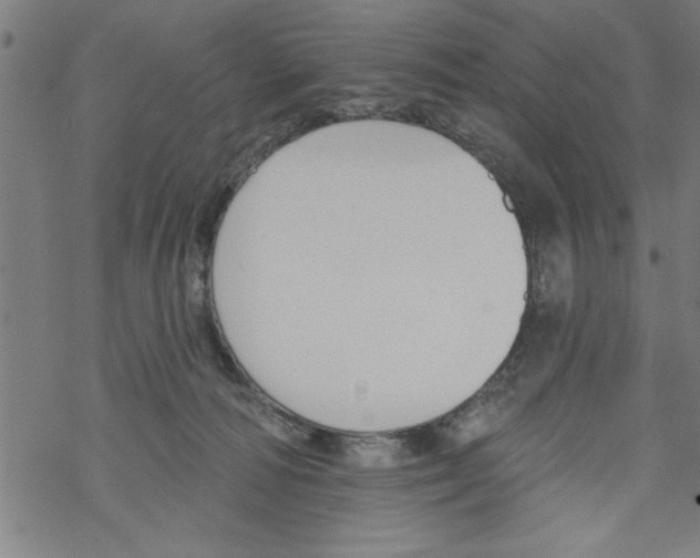 X0000067510226200605051837