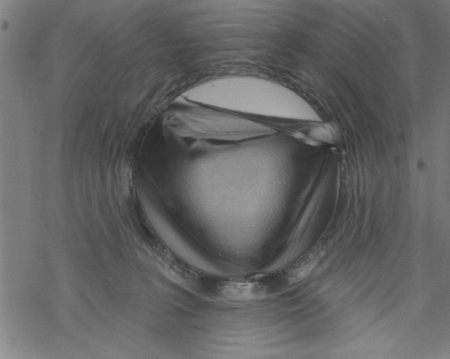 X0000067510227200605051837