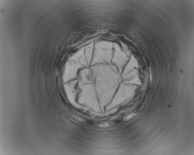 X0000067510229200605051837