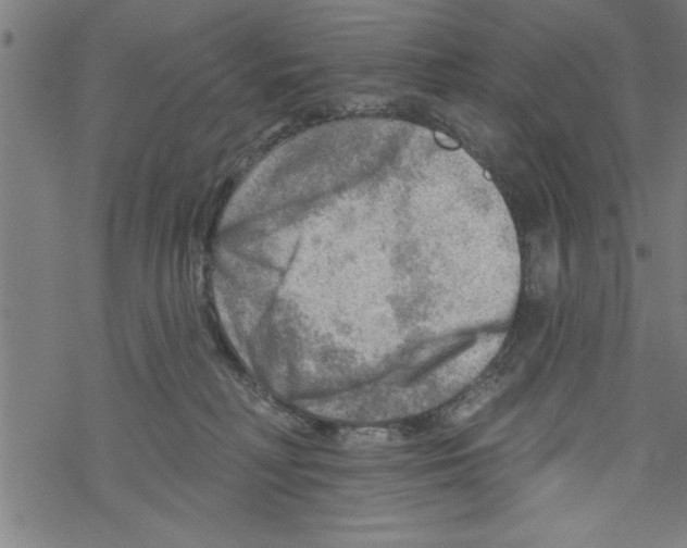 X0000067510230200605051837