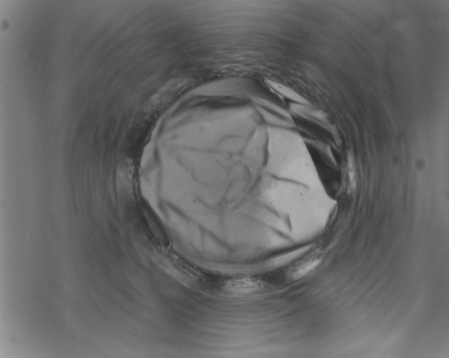 X0000067510231200605051837