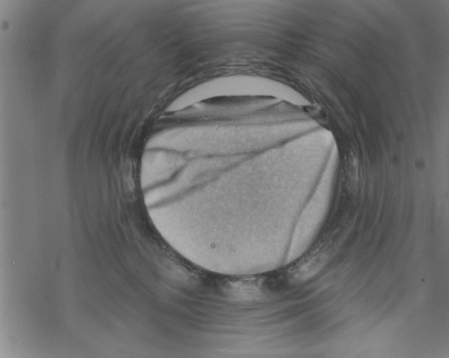 X0000067510232200605051837