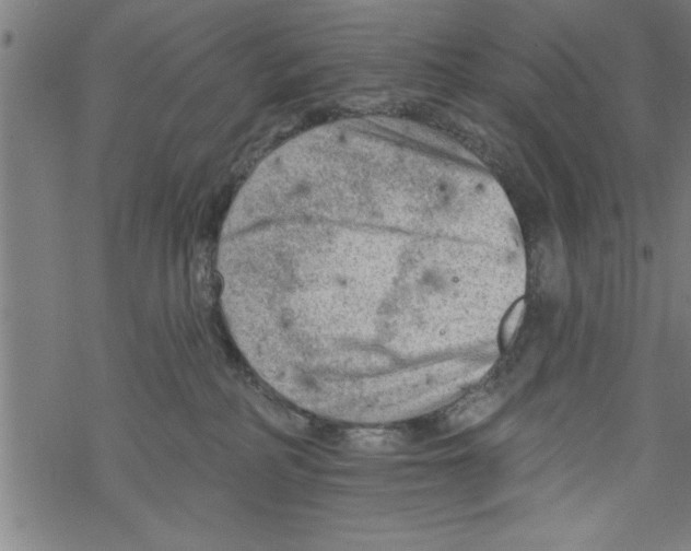 X0000067510234200605051837