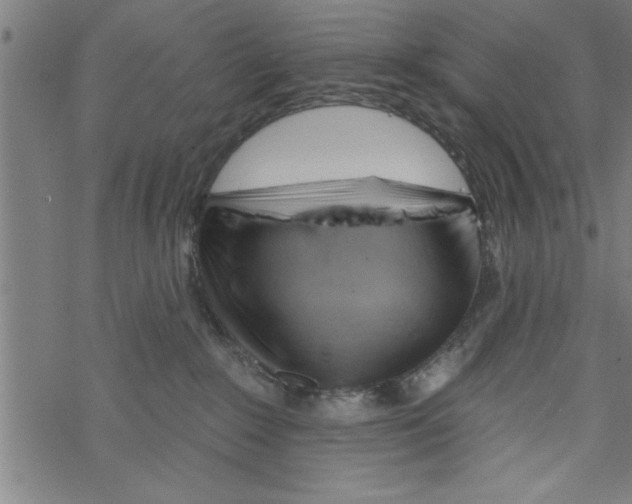 X0000067510235200605051837