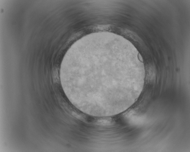 X0000067510236200605051837