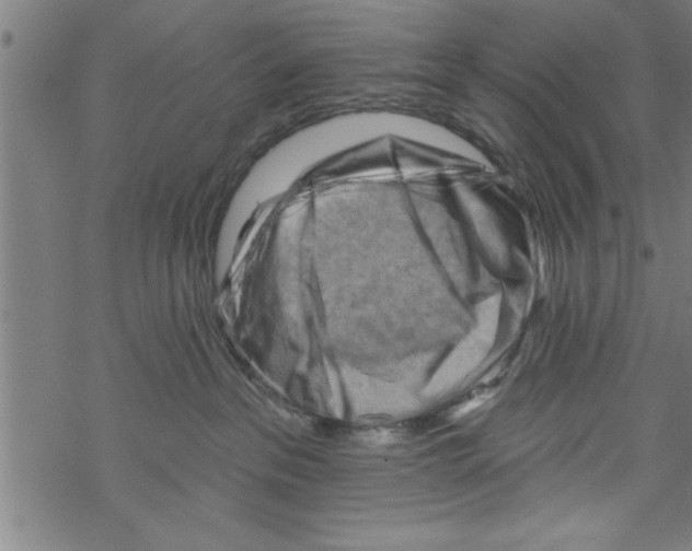 X0000067510237200605051837