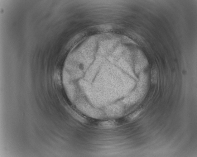 X0000067510238200605051837