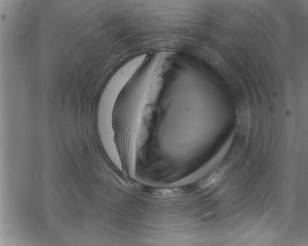 X0000067510239200605051837