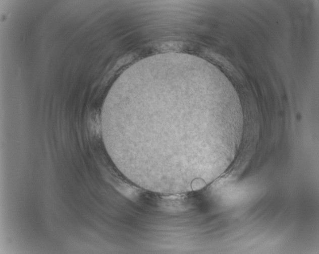 X0000067510240200605051837