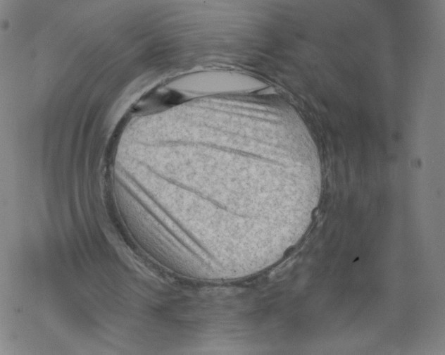 X0000067510242200605051836