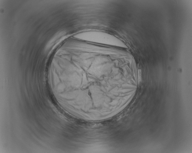 X0000067510243200605051836