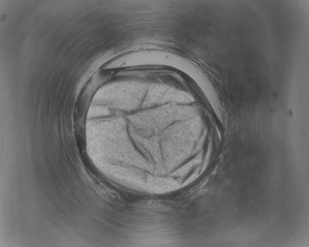 X0000067510244200605051836