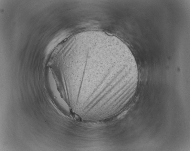 X0000067510245200605051836