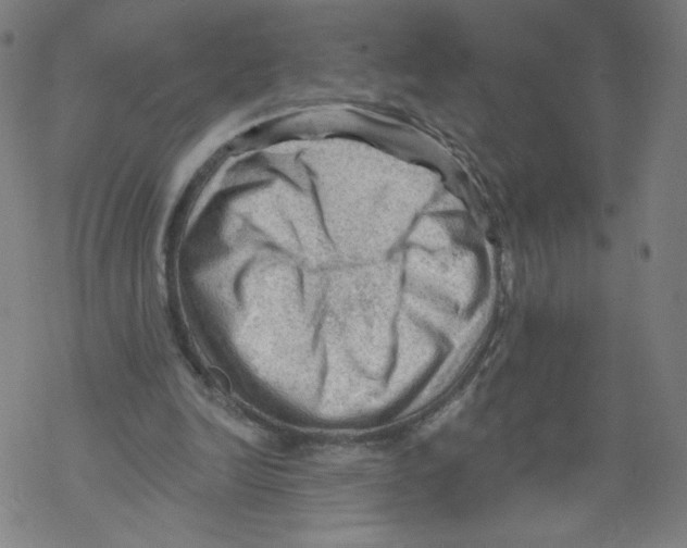 X0000067510246200605051836