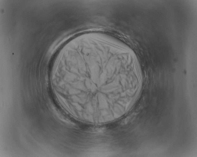 X0000067510247200605051836