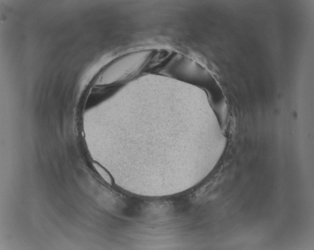 X0000067510248200605051836