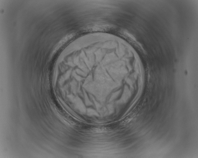 X0000067510250200605051836