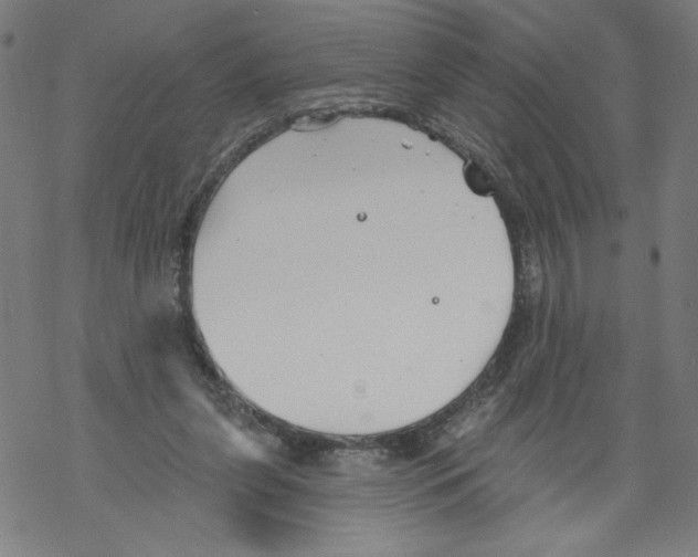 X0000067510255200605051836