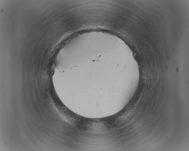 X0000067510256200605051836