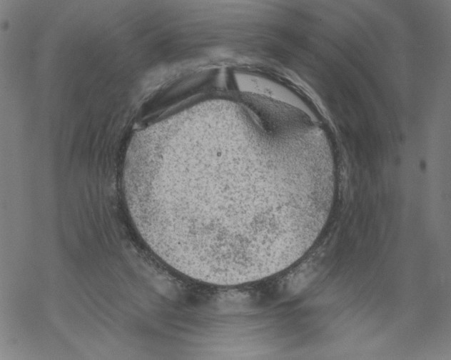 X0000067510257200605051836