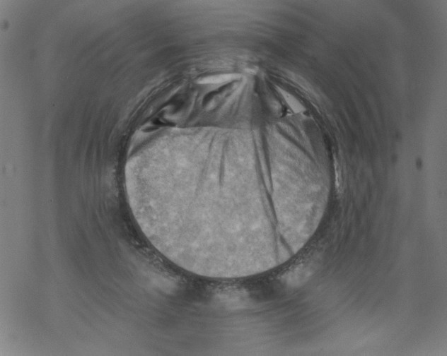 X0000067510258200605051836