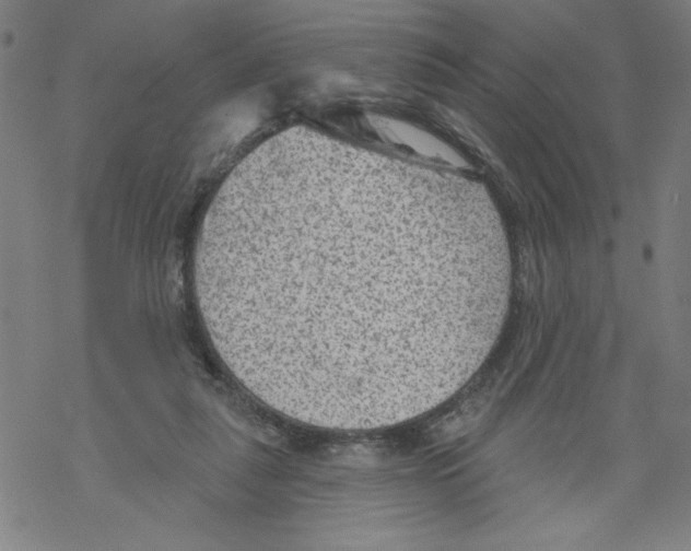 X0000067510259200605051836