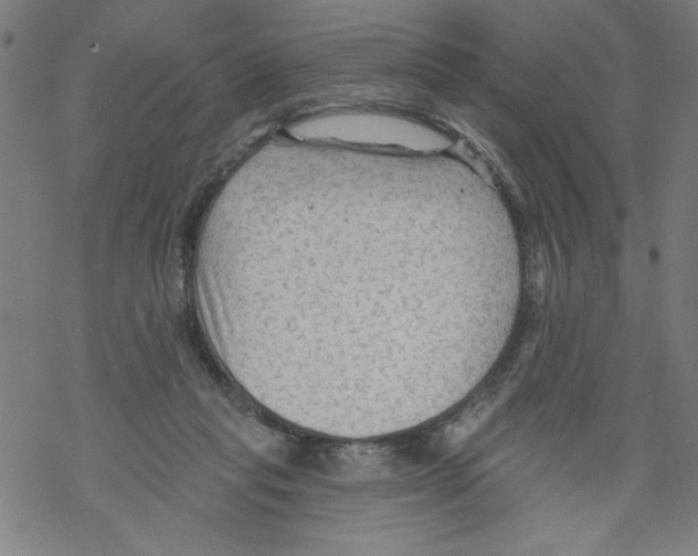 X0000067510261200605051836