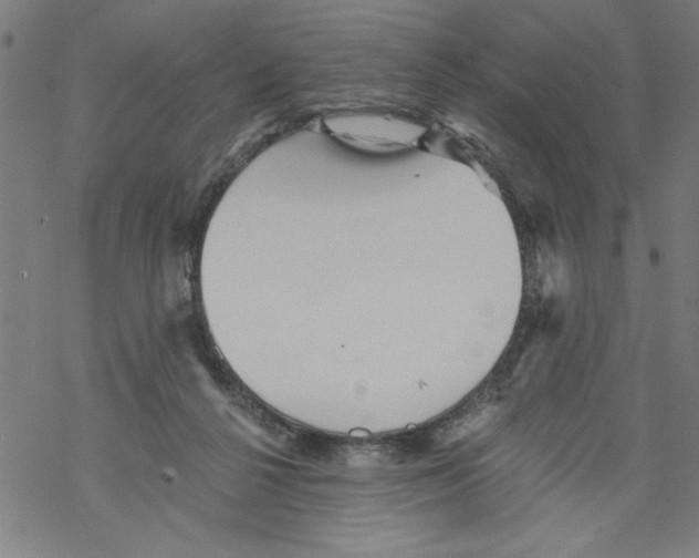 X0000067510264200605051836