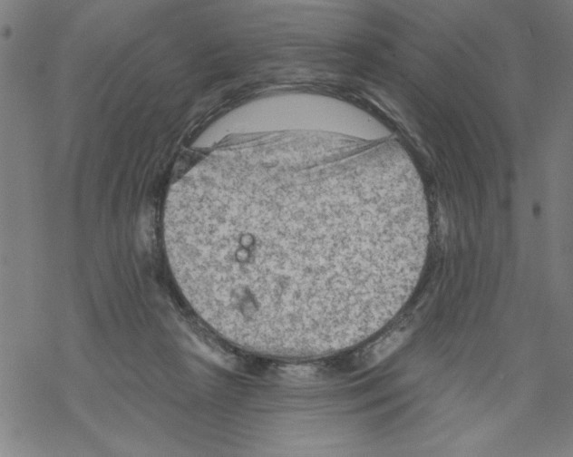 X0000067510265200605051836