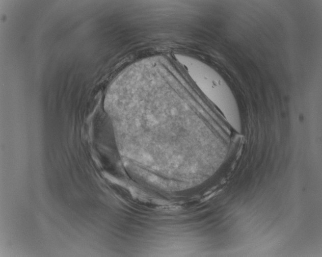 X0000067510266200605051836