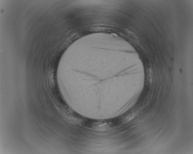 X0000067510267200605051836