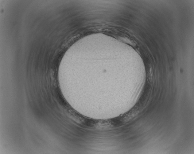 X0000067510270200605051837