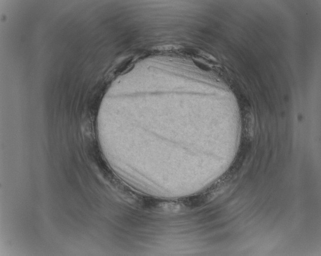 X0000067510272200605051837