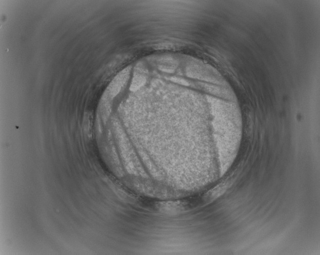 X0000067510273200605051837