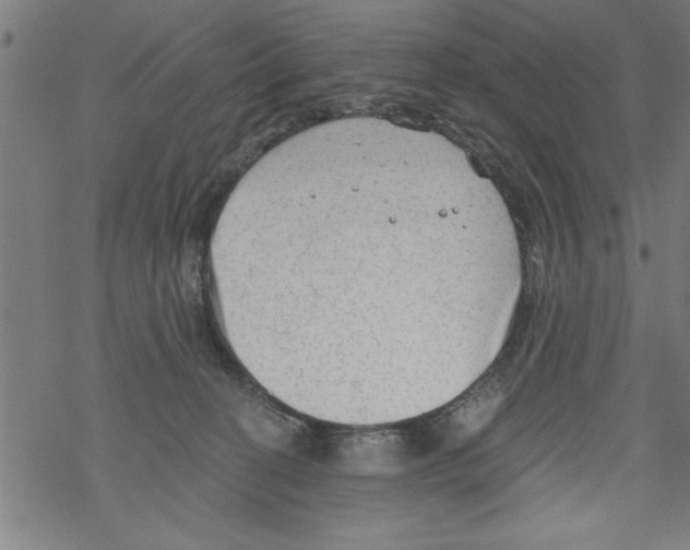 X0000067510274200605051837