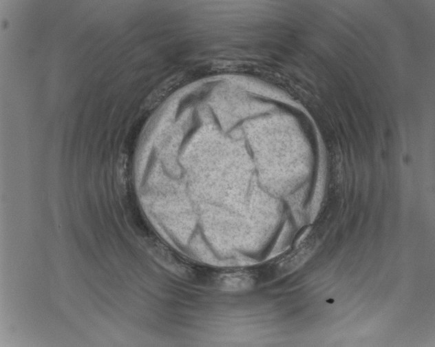 X0000067510275200605051837