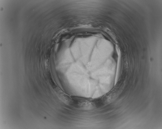 X0000067510276200605051837