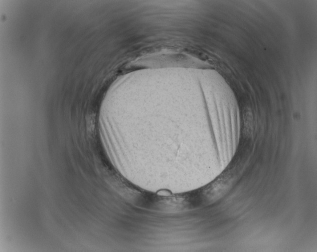 X0000067510278200605051837