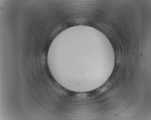 X0000067510279200605051837