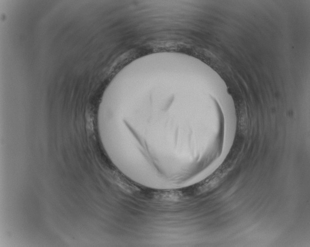 X0000067510282200605051837