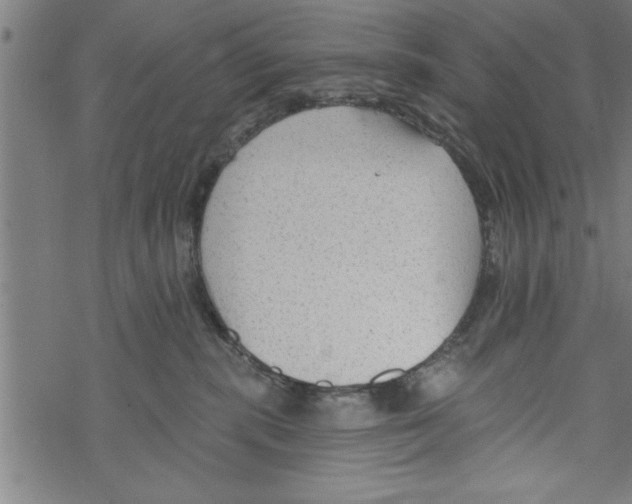 X0000067510283200605051837