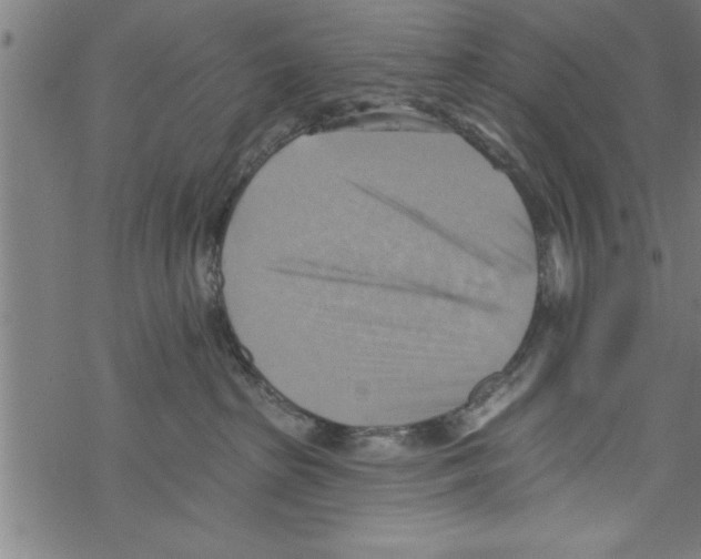 X0000067510285200605051837