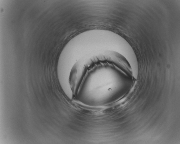 X0000067510287200605051837