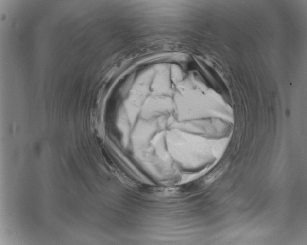 X0000067510288200605051837