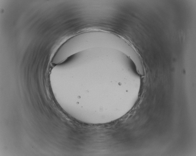 X0000067510289200605051836