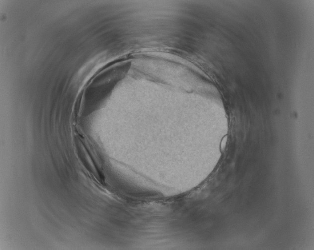 X0000067510290200605051836