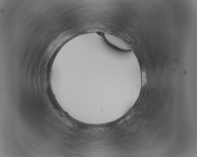 X0000067510291200605051836