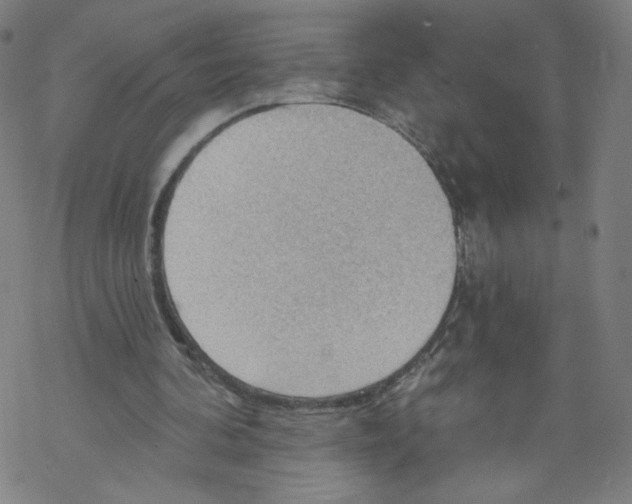 X0000067510292200605051836