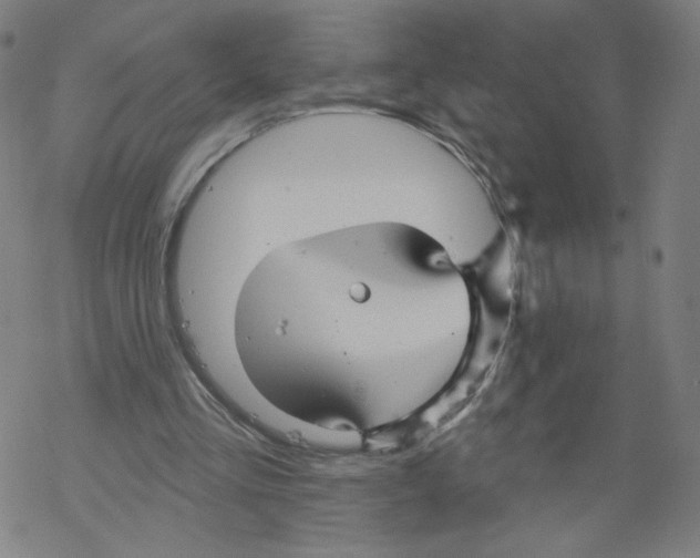 X0000067510293200605051836